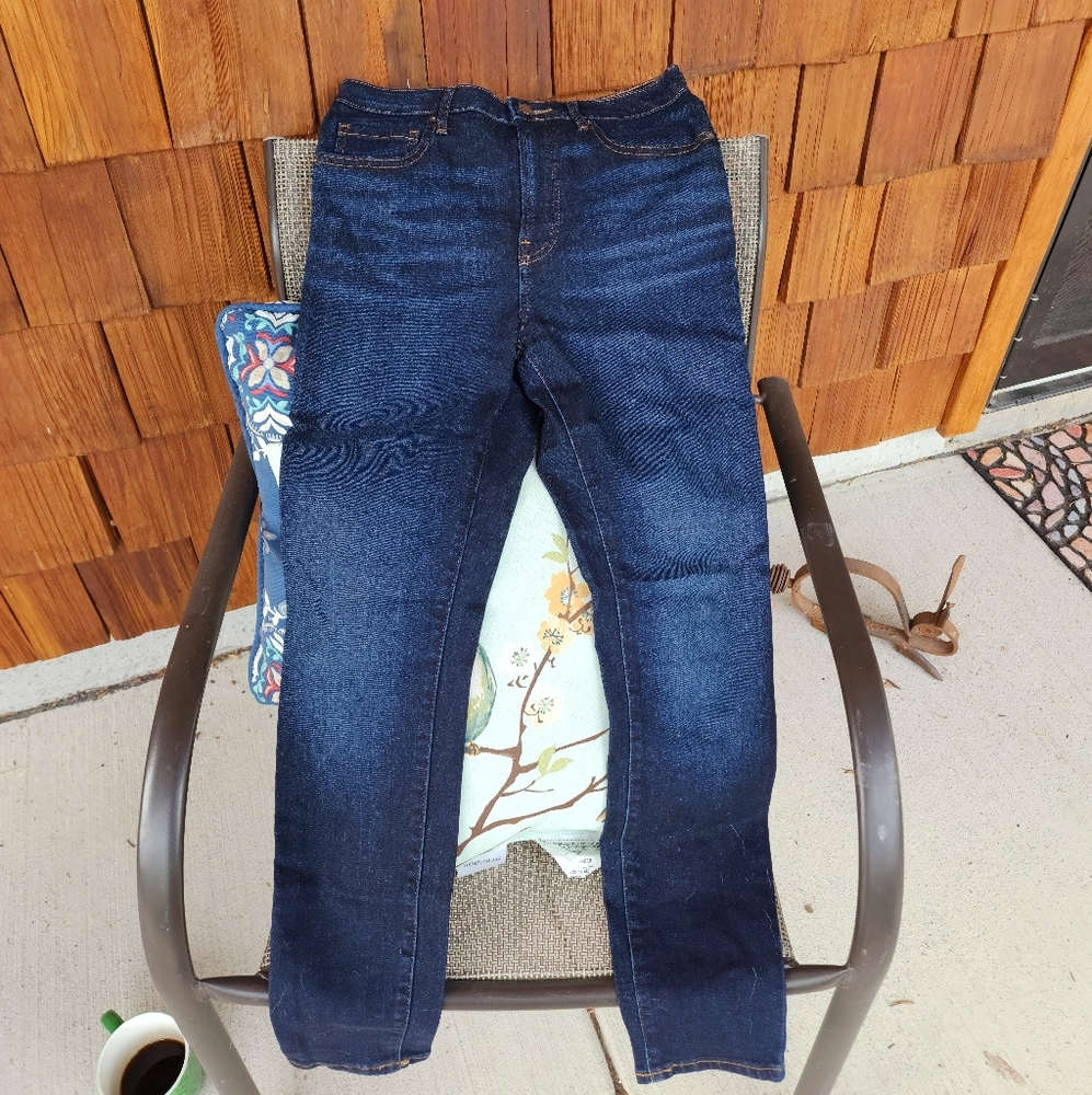 Everlane Regular Length Curvy High Rise Jeans